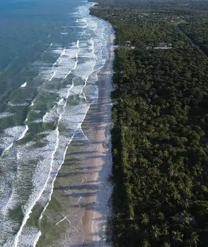 Praia e mata do Pé de Serra